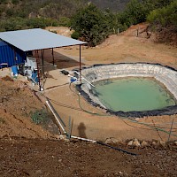 Bulk testing gold plant