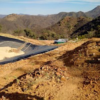 Carbon Plant at Background